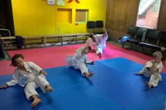 WP_20160824_09_40_45_Pro