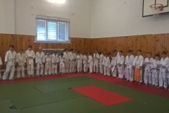 WP_20160828_11_39_35_Pro