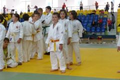 benesov_2011_kraj-16