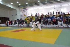 benesov_2011_memorial